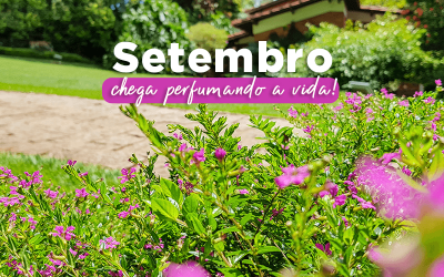 Setembro chega perfumando a vida