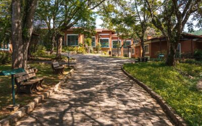 Hotel em Socorro: tudo o que você precisa saber