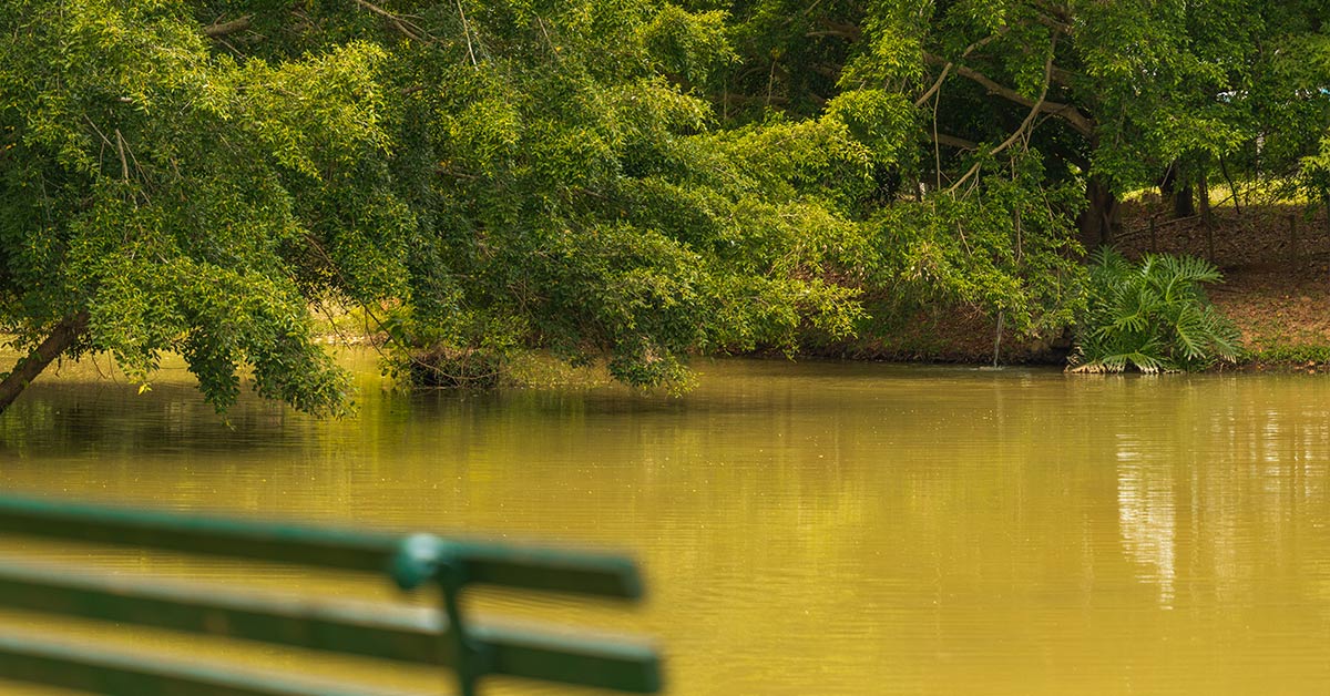 lugares para relaxar em SP